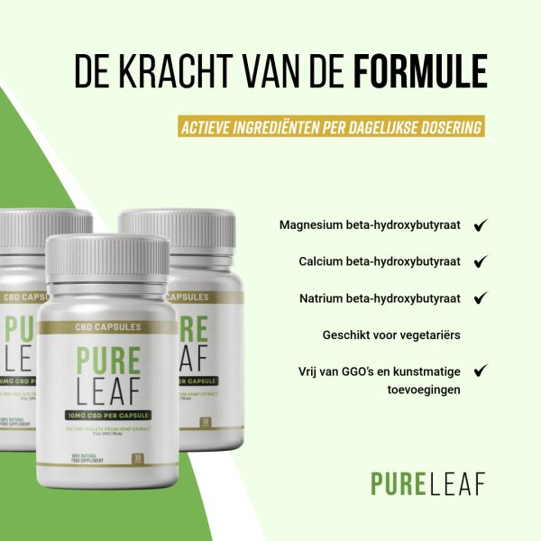 Pure Leaf - Afbeelding 7