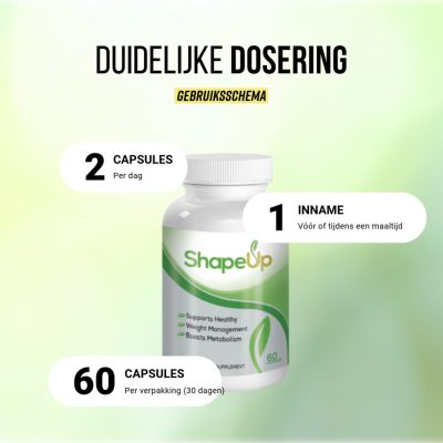 ShapeUp-4-ShapeUp NL - Card 4